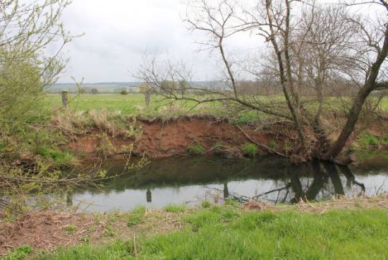 Böschungs- und Ufersicherung