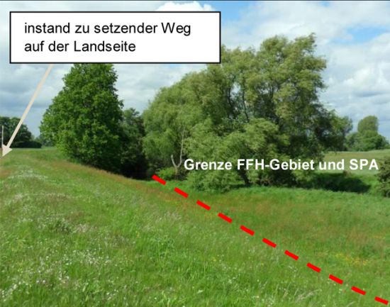 Blick zum Glauchaer Bach