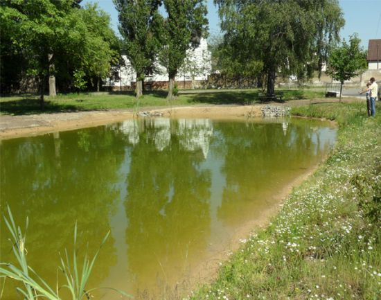 Dorfteich nach der Maßnahme