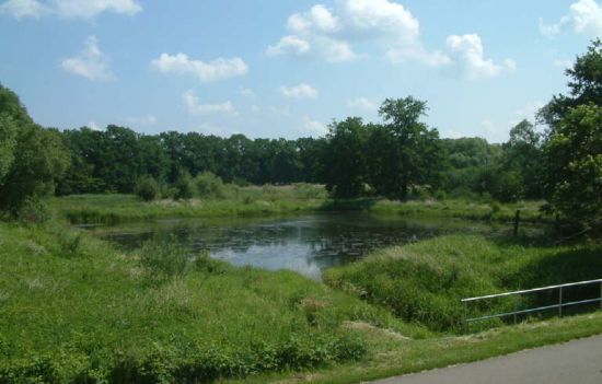 ehemaliges Pumpbecken in der Saal