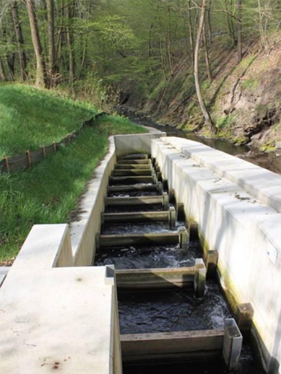 Fischaufstiegsanlage nahe OT Thyratal