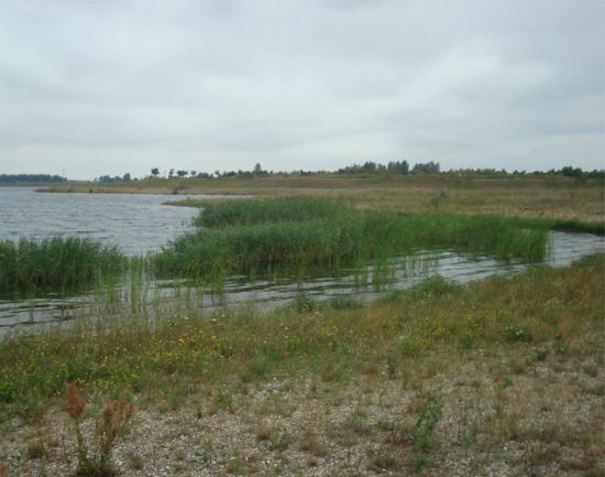 Fläche für Segelhafen Bereich Süd 