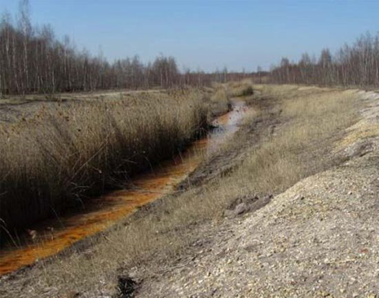Floßgraben mit deutlicher Ausfällung von Eisenhydroxid