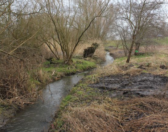 Freihalten eines Unterhaltungsstreifens Freihalten eines Unterhaltungsstreifens