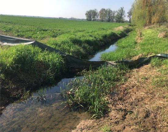 geschlossener Amphibienschutzzaun an Grabenquerung