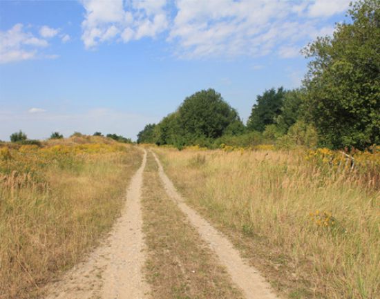 instandzusetzender Wirtschaftsweg instandzusetzender Wirtschaftsweg
