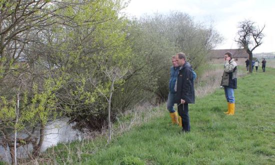 jährliche Kontrolle