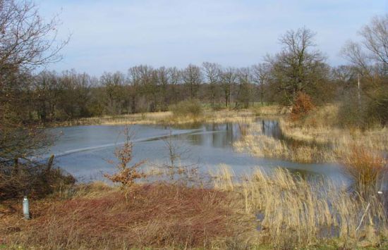 Naturschutzgebiet Muldetalhang Rösa