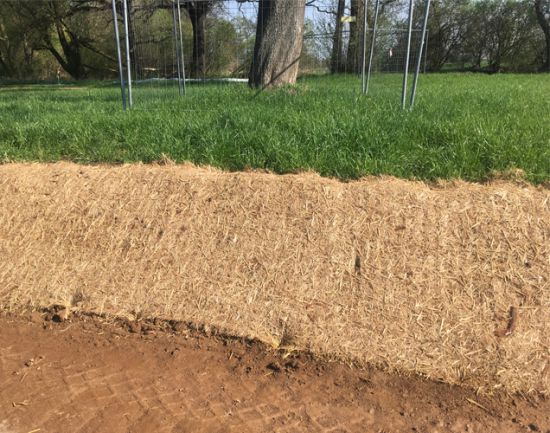 Wurzelschutzmatten Esche