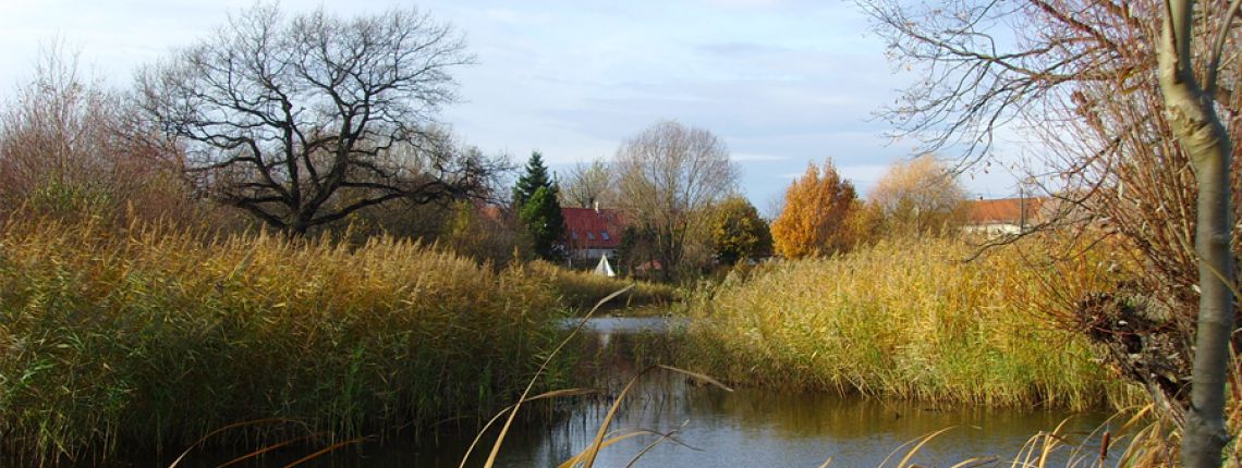 Delitzsch Sanierung Hirtenteich Laue